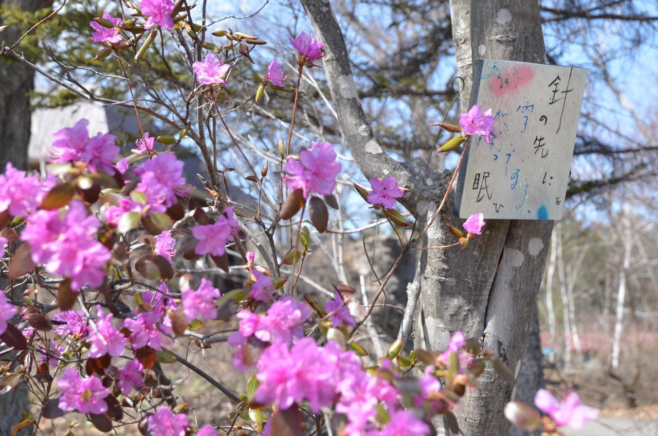 Artinn 極寒藝術伝染装置 Teshikaga Esterno foto