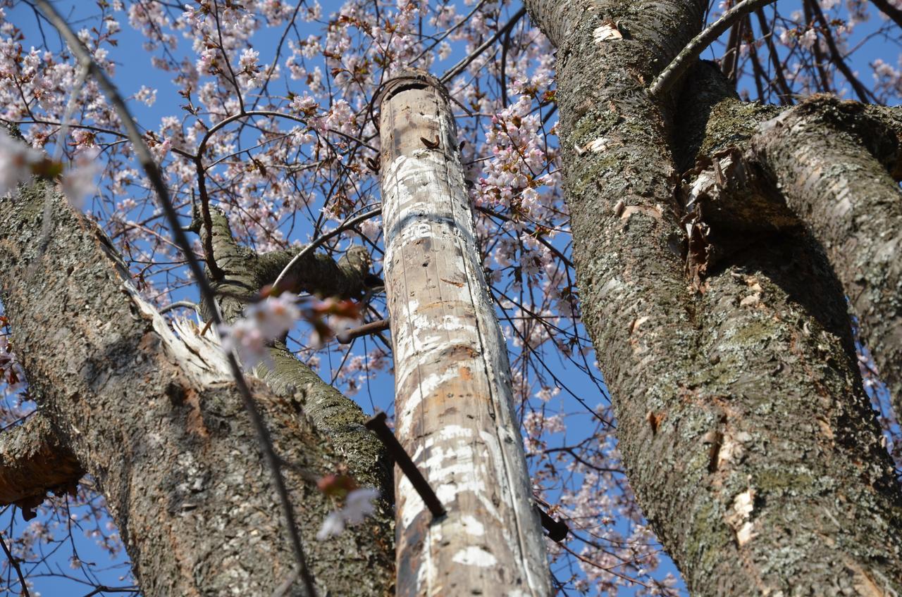 Artinn 極寒藝術伝染装置 Teshikaga Esterno foto