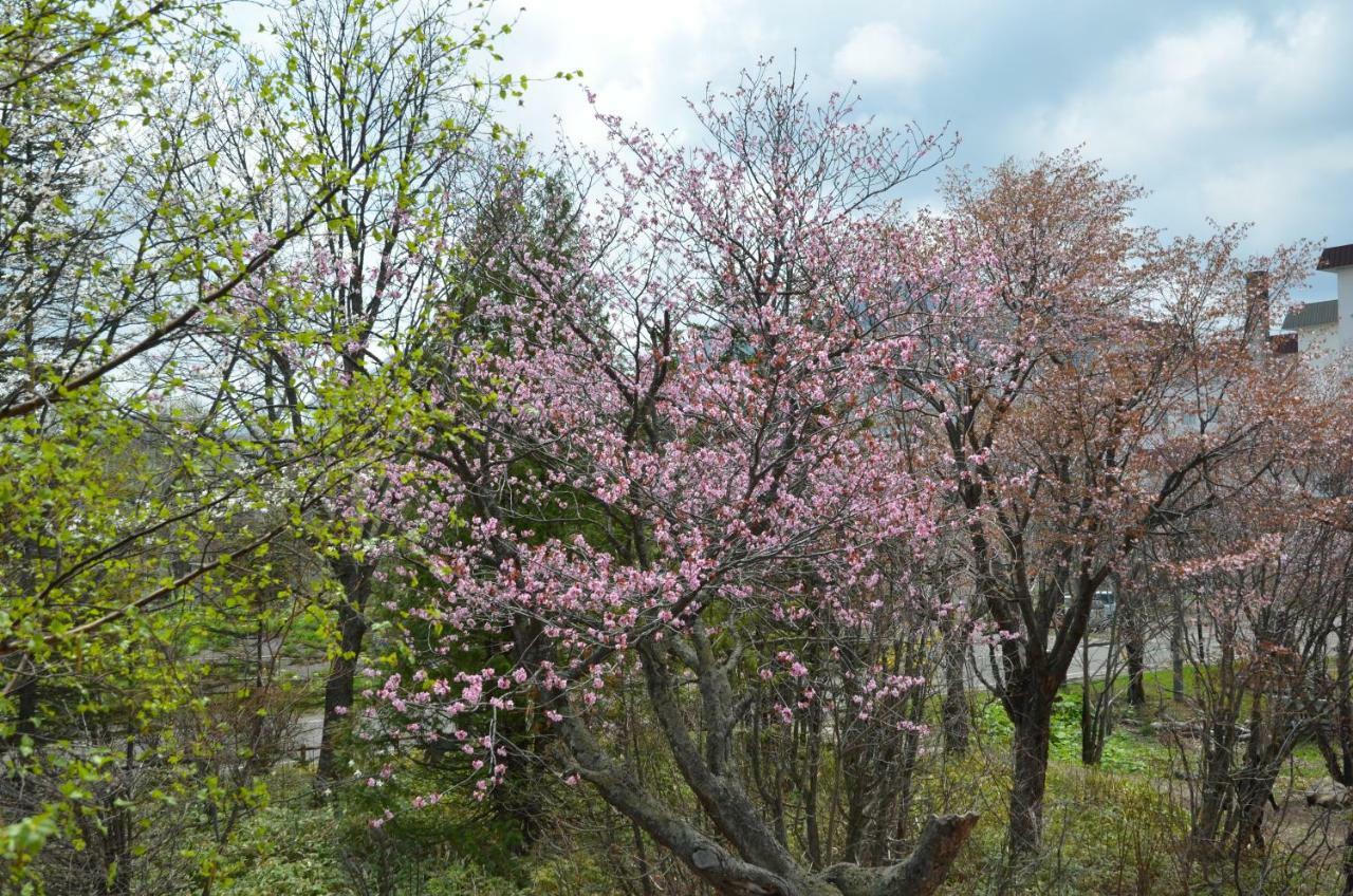 Artinn 極寒藝術伝染装置 Teshikaga Esterno foto