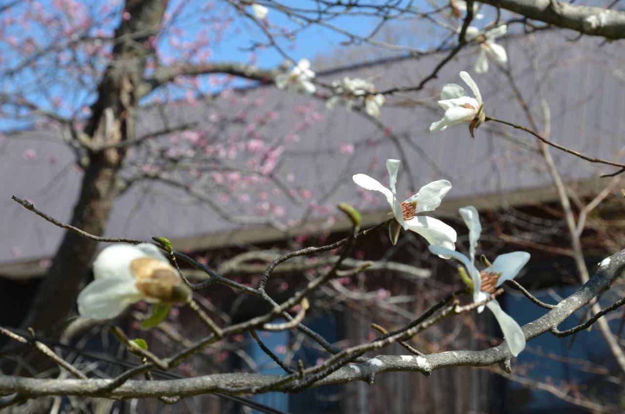 Artinn 極寒藝術伝染装置 Teshikaga Esterno foto